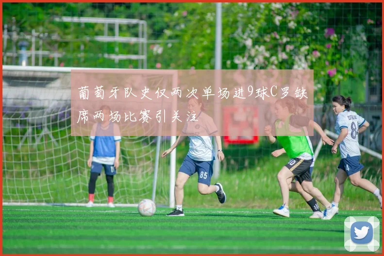 葡萄牙队史仅两次单场进9球C罗缺席两场比赛引关注