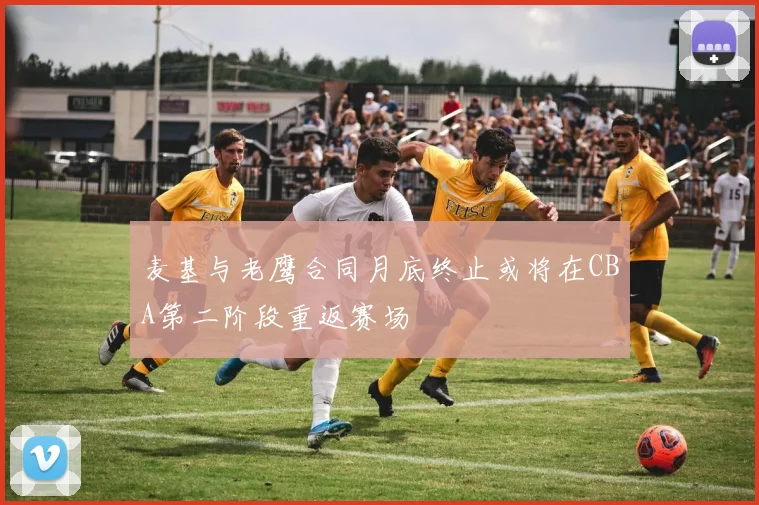 麦基与老鹰合同月底终止或将在CBA第二阶段重返赛场